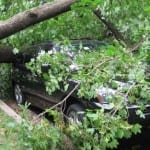 windstorm xaver insurance news
