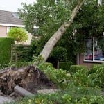 homeowners insurance damage storm