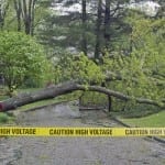 severe weather storm tree power