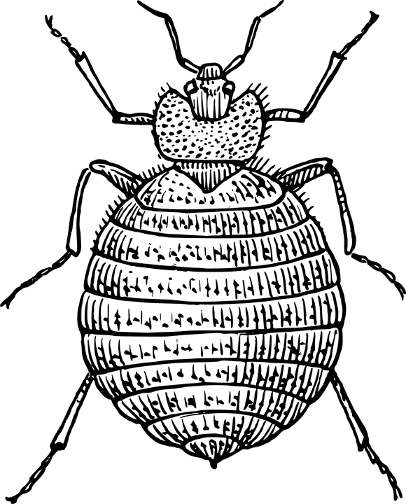 bedbug animal related strange insurance claims