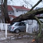 hurricane irma insurance losses
