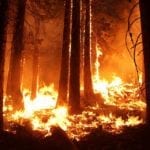 california wildfire insurance