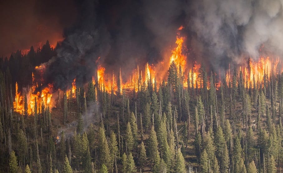 Allstate Wildfire Losses - Fire in forest