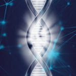 Genetic discrimination - DNA