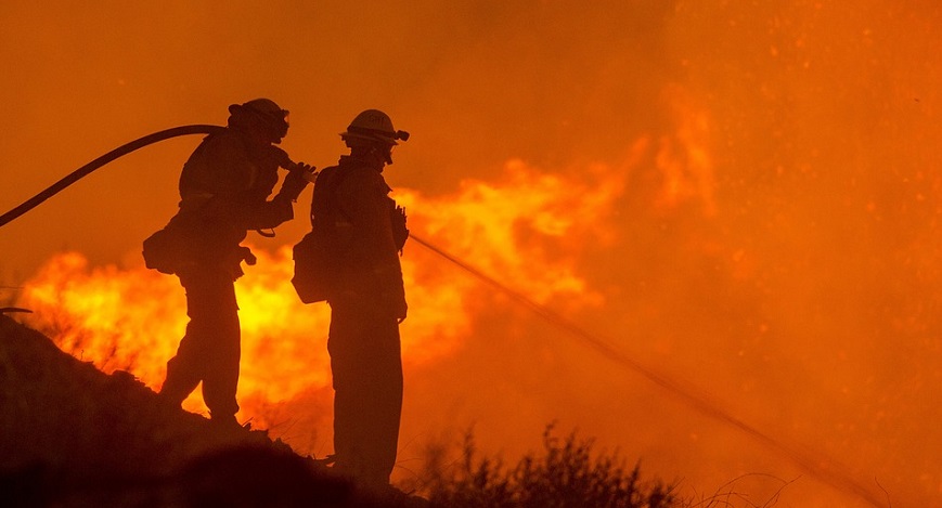 California fire insurance companies - Firefighters fighting wildfire