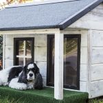 pet boarding insurance - dog outside dog house