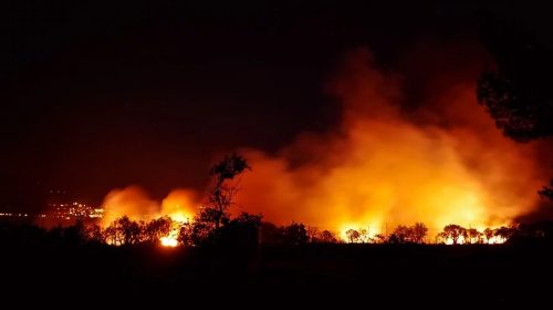 Climate Change risks - forest fire at night