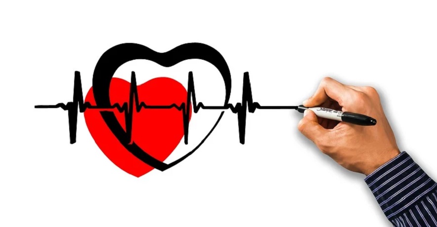 Pennsylvania health insurance exchange - health - heart - hand