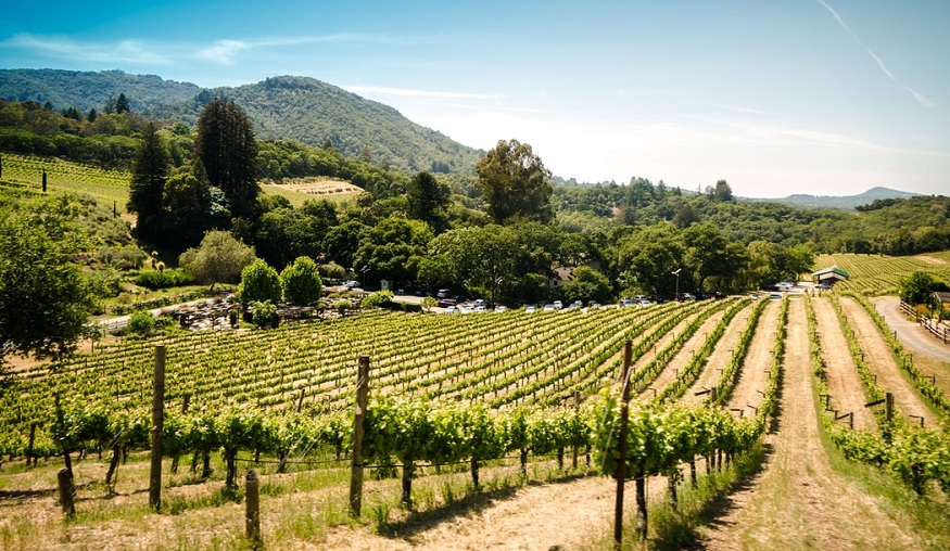 Wildfire insurance - California winery in Sonoma
