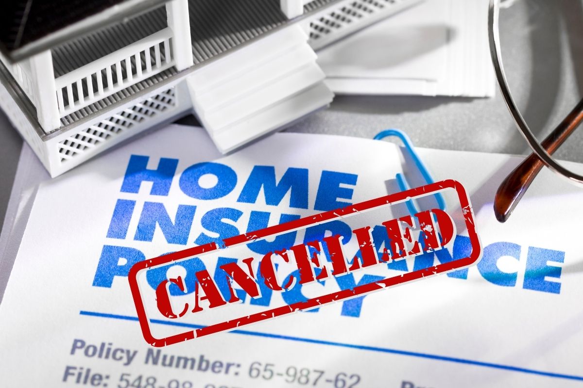 Louisiana home insurance - Home Insurance Policy Cancelled