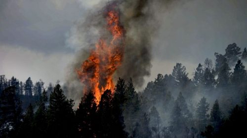 Insurance companies - Fire in Colorado