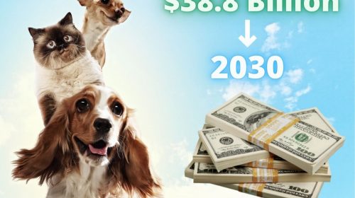 Pet Insurance - Billions by 2030