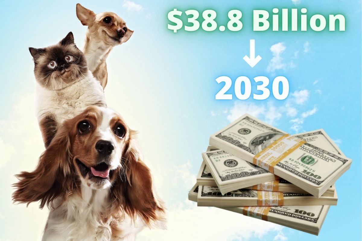 Pet Insurance - Billions by 2030
