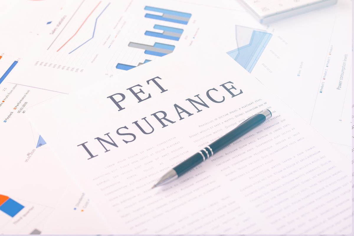 Pet Insurance - Study