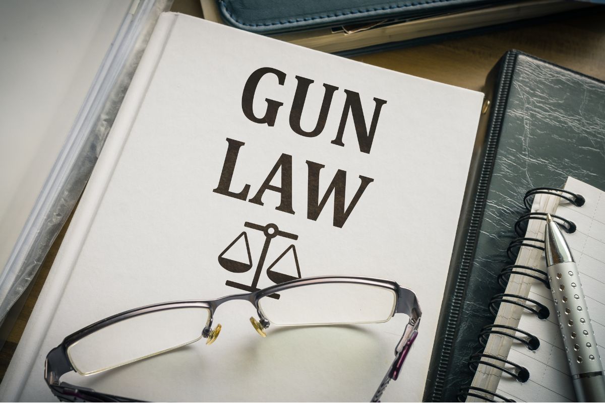 Gun insurance - Gun Laws