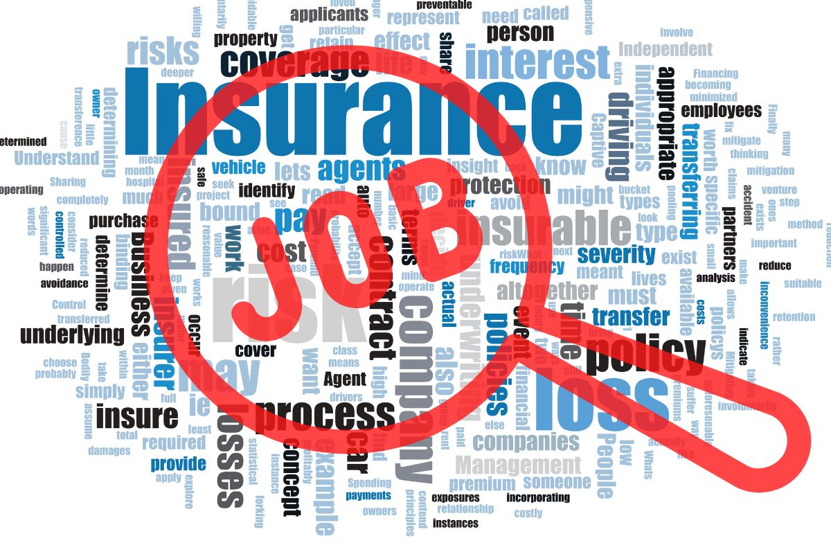 Insurance jobs - Job - Magnifying glass