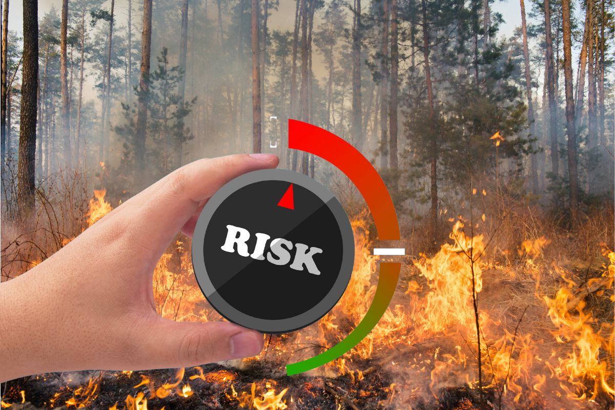 Wildfire insurance - Risk Assessment - Forest Fire