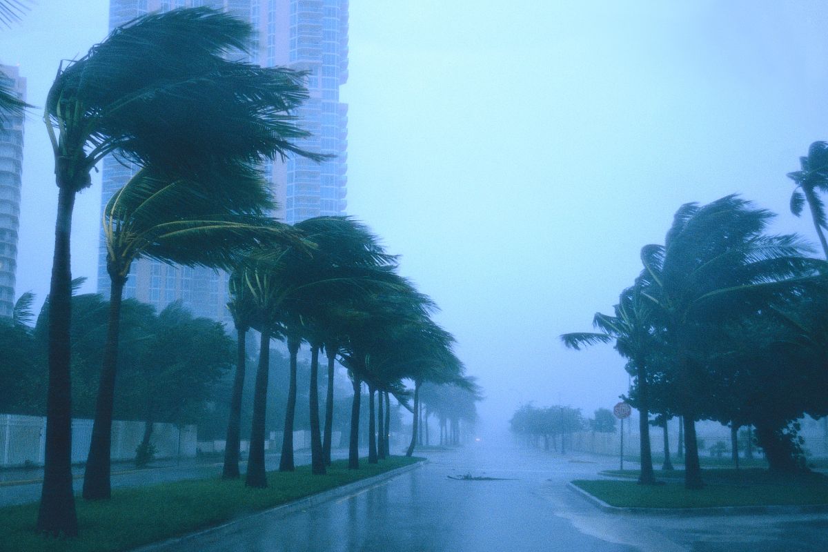 Hurricane Ian - Image of Storm with palm trees