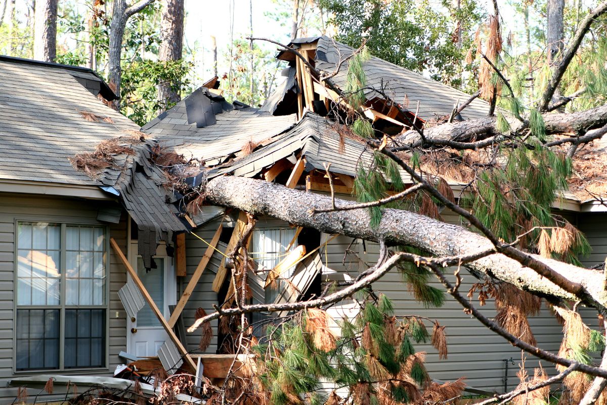Insurance companies - Hurricane Damage - Home Damage