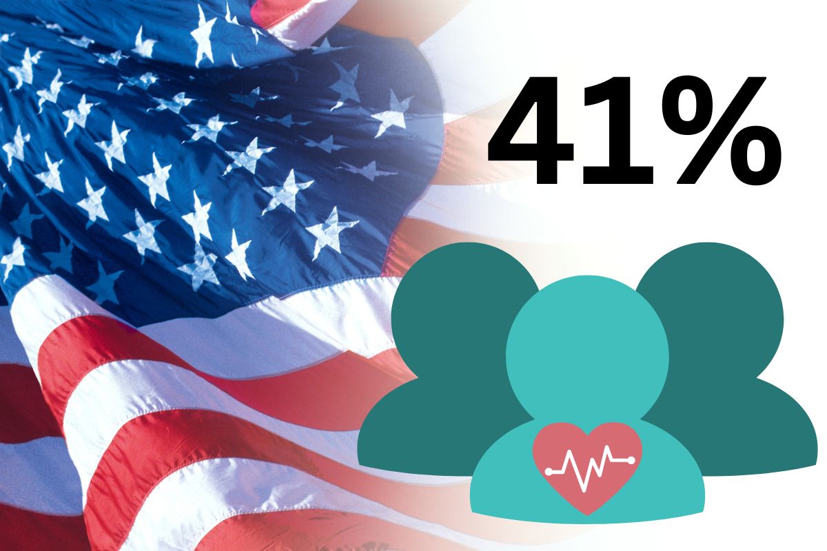 Health care - 41 percent American Flag