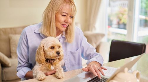 Pet Insurance - Woman with dog, using computer