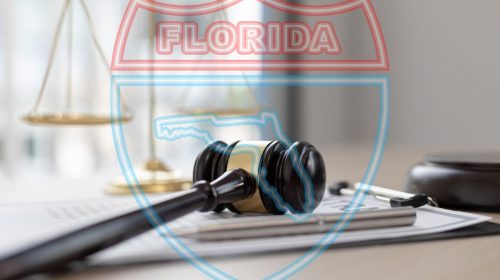 Insurer accountability - Florida Law