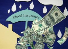 Flood Insurance Rates - Property