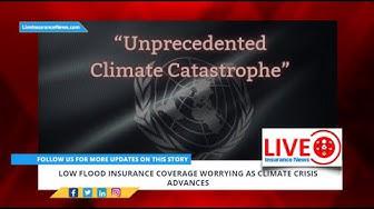 'Video thumbnail for Spanish Version - Low flood insurance coverage worrying as climate crisis advances'