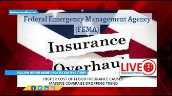 'Video thumbnail for Higher cost of flood insurance causes massive coverage dropping trend'