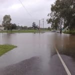 Flood Insurance News