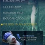 Geico Insurance