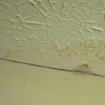 water damage insurance news