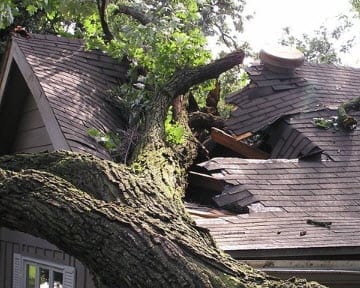 Homeowners insurance wind damage