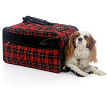 Pet Insurance for travel