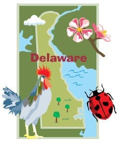 Delaware Insurance