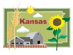 Kansas Insurance