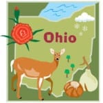 Ohio Insurance industry