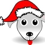 christmas pet insurance