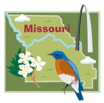 Missouri Insurance