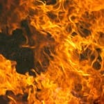 insurance industry news bush fire