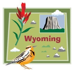 Wyoming Insurance