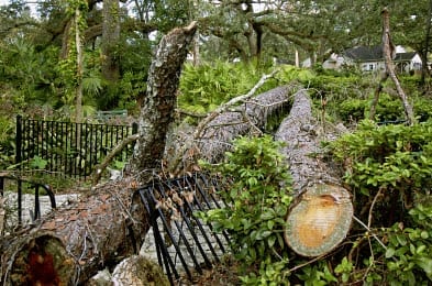 Windstorm Christian