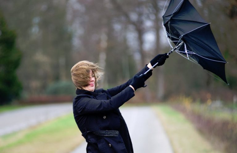 Estimates Losses from European Windstorm Xaver Live Insurance News