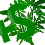 medical marijuana insurance