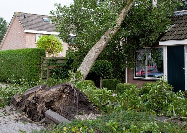 homeowners insurance damage storm