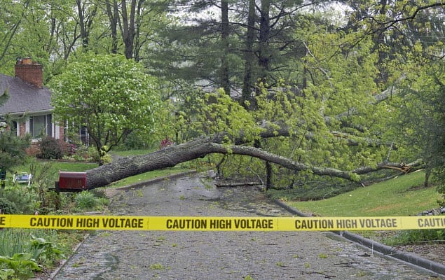 severe weather storm tree power