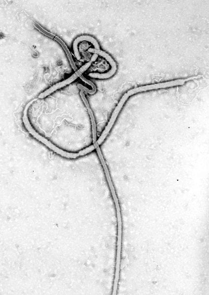 CDC picture of ebola travel insurance news