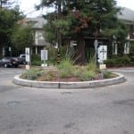 Roundabout at Berkeley Insurance news