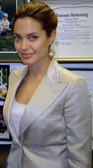 angelina jolie insurance news