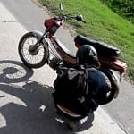 moped insurance